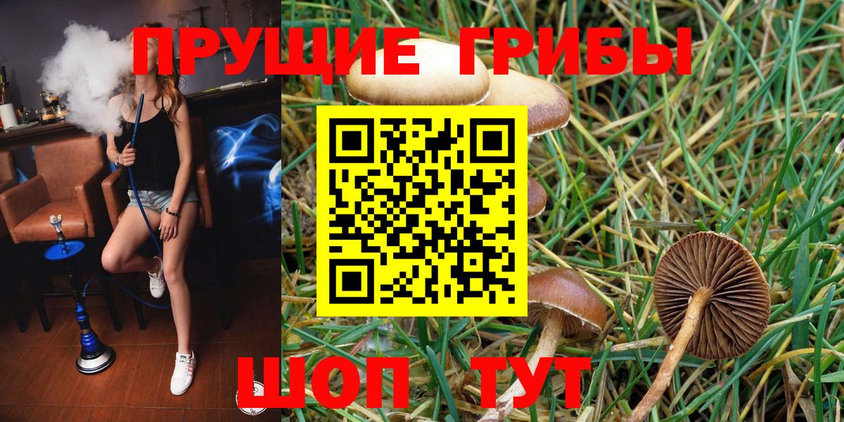 Псилоцибиновые грибы мицелий Звенигород